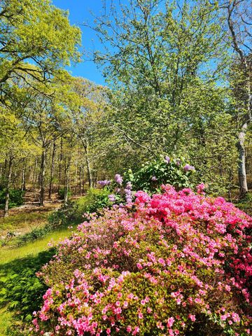 988 Crowells Bog Road, Brewster, MA 02631