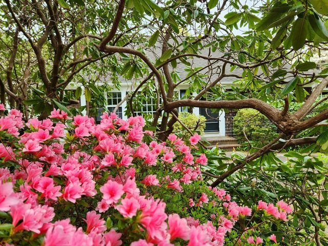 988 Crowells Bog Road, Brewster, MA 02631