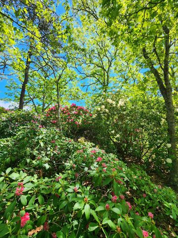 988 Crowells Bog Road, Brewster, MA 02631