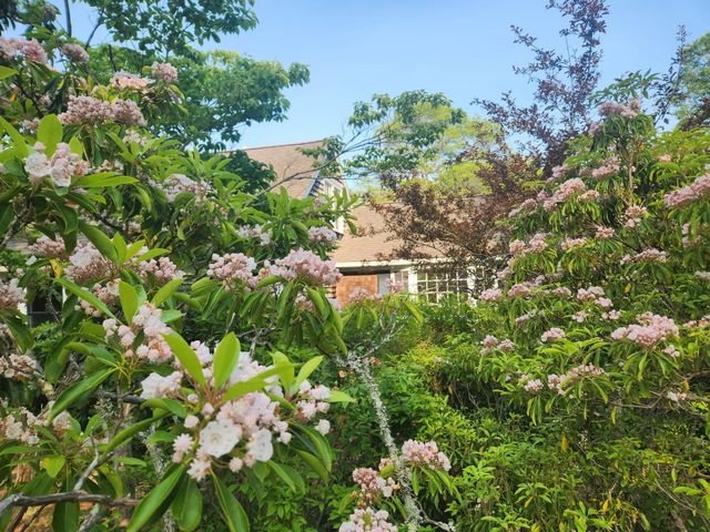 988 Crowells Bog Road, Brewster, MA 02631