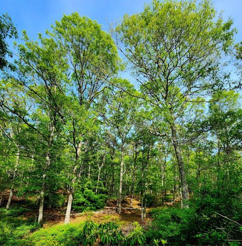 988 Crowells Bog Road, Brewster, MA 02631