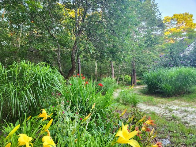988 Crowells Bog Road, Brewster, MA 02631