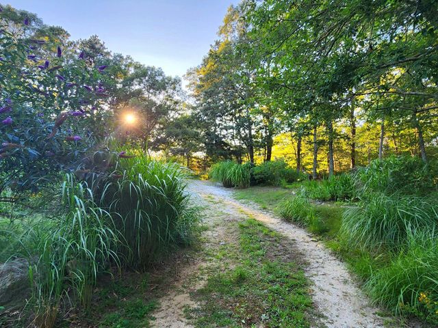 988 Crowells Bog Road, Brewster, MA 02631