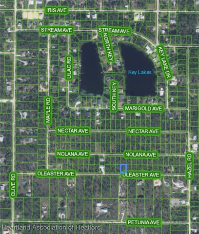 1722 Oleaster Avenue, Sebring, FL 33875