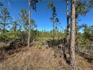 1722 Oleaster Avenue, Sebring, FL 33875