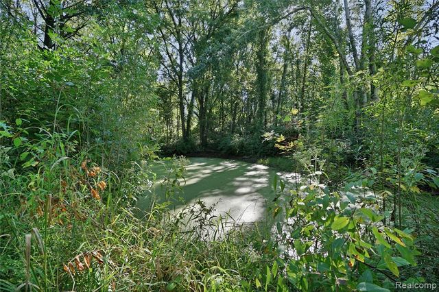 3738 Winterwood Drive, Howell, MI 48843