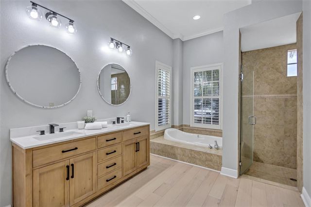 11809 SHIRE WYCLIFFE, Tampa, FL 33626