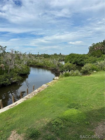 1489 S Ozello Trail, Crystal River, FL 34429