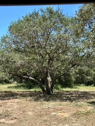 TBD Teal, Columbus, TX 78934