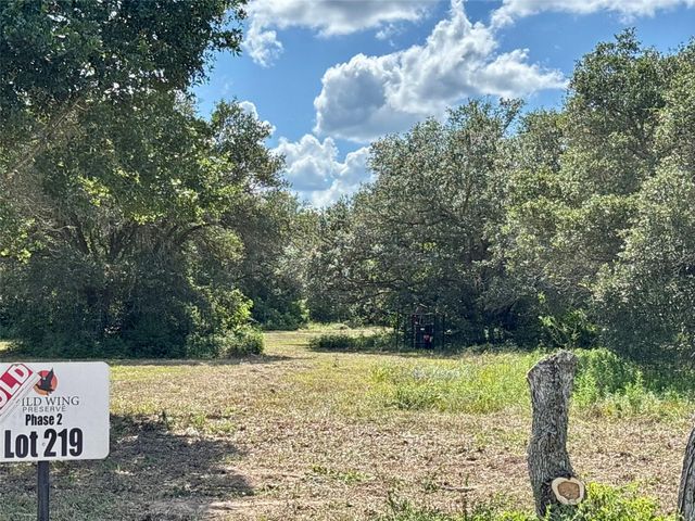 TBD Teal, Columbus, TX 78934