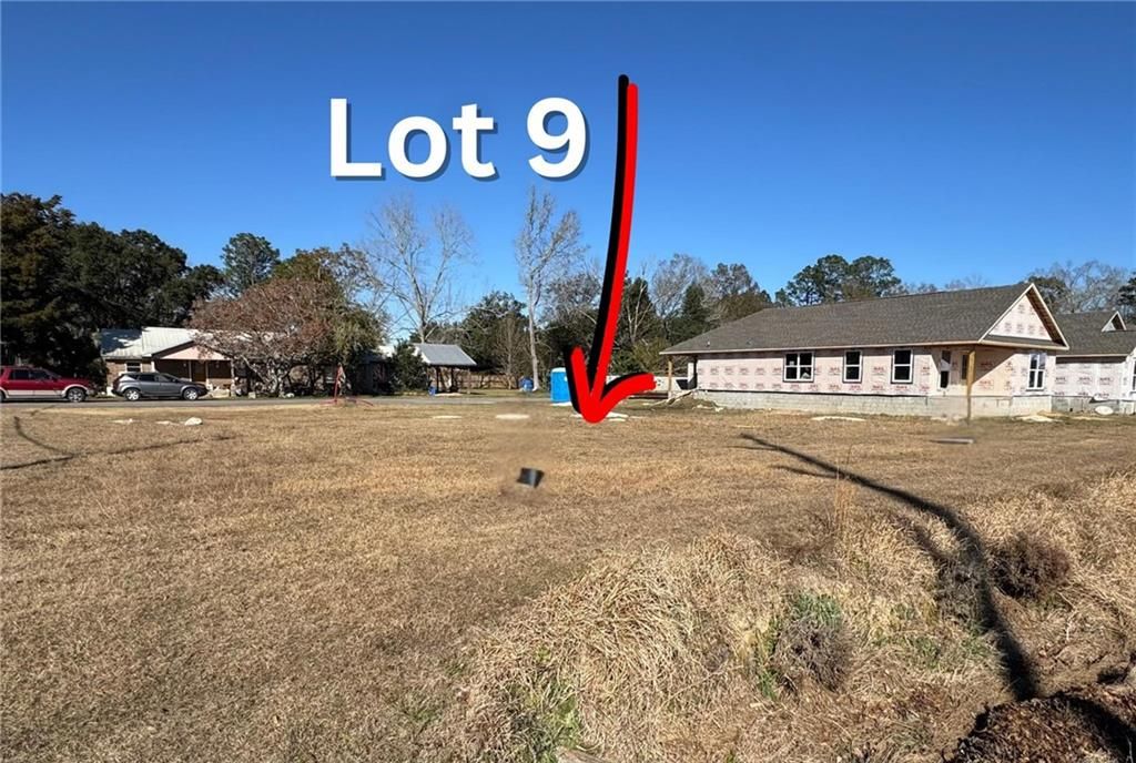 Lot 9 W Union Avenue, Loxley, AL 36551