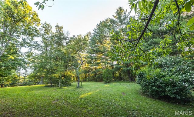 20 Berryman Cutoff Road, Steelville, MO 65565