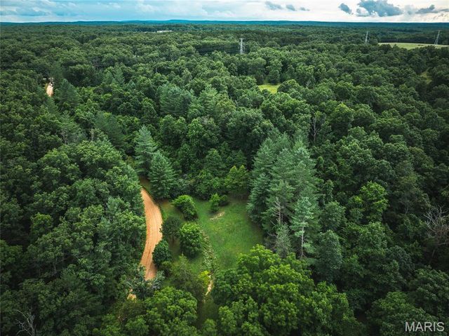 20 Berryman Cutoff Road, Steelville, MO 65565