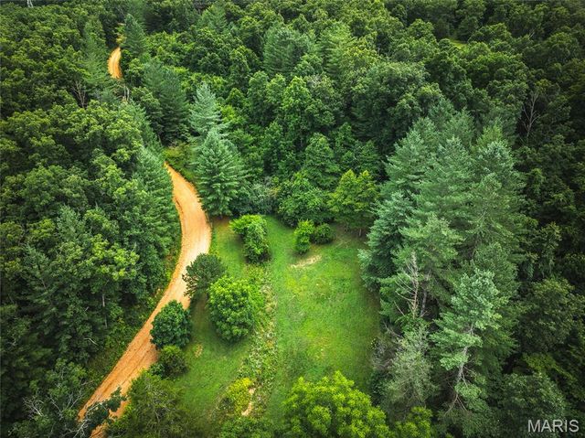 20 Berryman Cutoff Road, Steelville, MO 65565