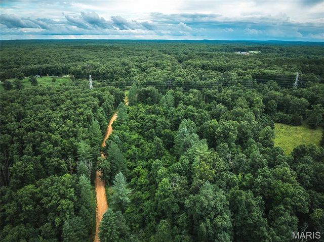 20 Berryman Cutoff Road, Steelville, MO 65565