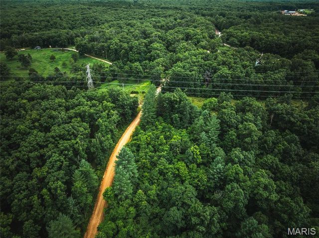 20 Berryman Cutoff Road, Steelville, MO 65565