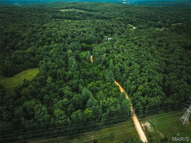 20 Berryman Cutoff Road, Steelville, MO 65565