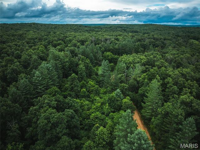 20 Berryman Cutoff Road, Steelville, MO 65565