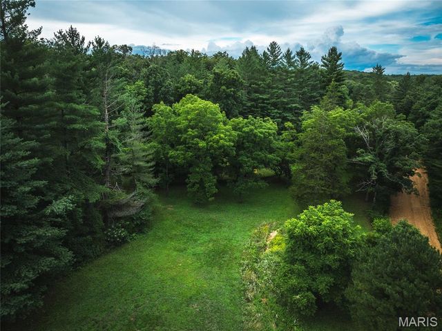 20 Berryman Cutoff Road, Steelville, MO 65565