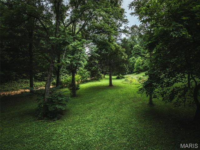 20 Berryman Cutoff Road, Steelville, MO 65565