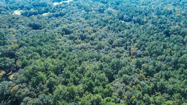 0 Crump Road, Tallahassee, FL 32309