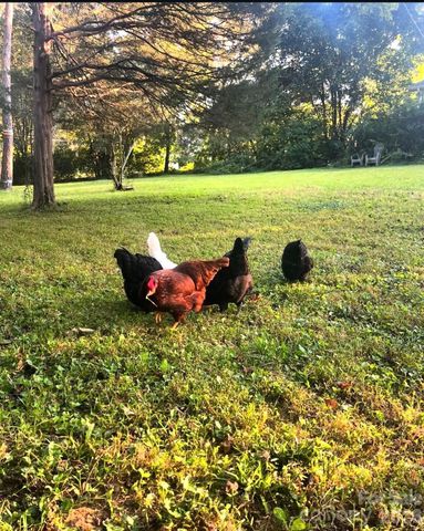 6701 Rugby Lane, Charlotte, NC 28226