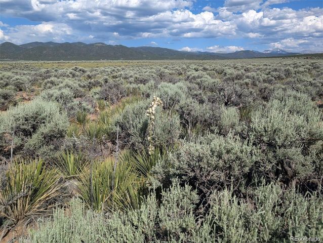 10 Acres Dante Road, Fort Garland, CO 81133