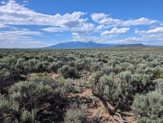 10 Acres Dante Road, Fort Garland, CO 81133