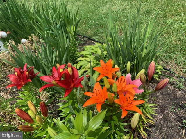 8 LOCHVIEW DR, Bear, DE 19701