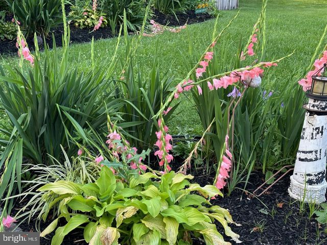 8 LOCHVIEW DR, Bear, DE 19701