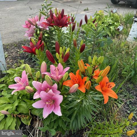 8 LOCHVIEW DR, Bear, DE 19701