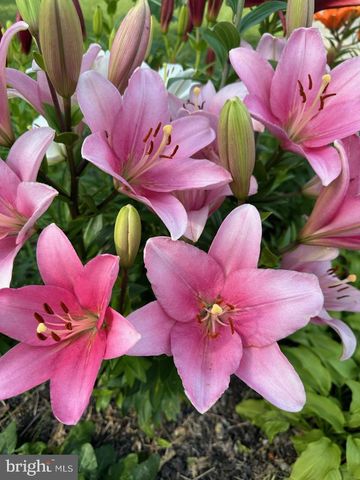 8 LOCHVIEW DR, Bear, DE 19701