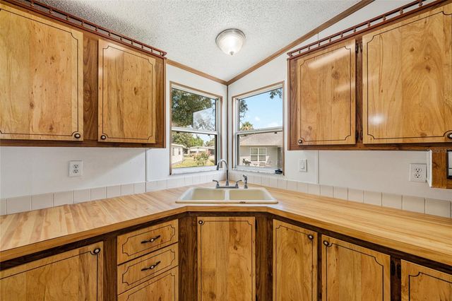 1004 ANN AVENUE, Lady Lake, FL 32159