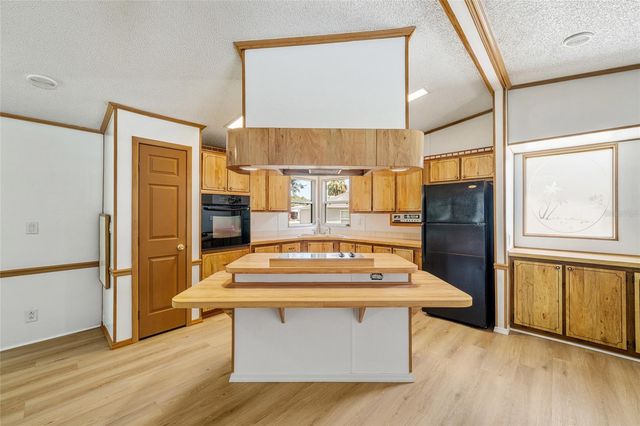 1004 ANN AVENUE, Lady Lake, FL 32159