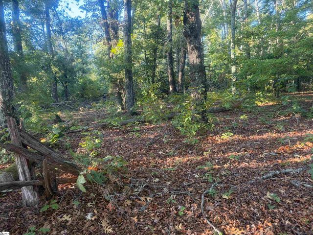Level Land Road, Anderson, SC 29621