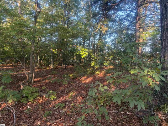 Level Land Road, Anderson, SC 29621
