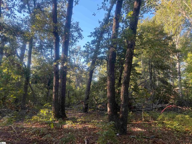 Level Land Road, Anderson, SC 29621