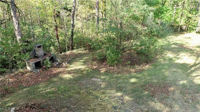 3949 Remsen Road, Medina, OH 44256