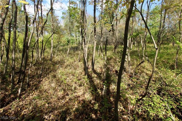 3949 Remsen Road, Medina, OH 44256