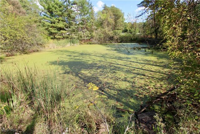 3949 Remsen Road, Medina, OH 44256