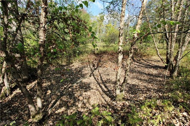 3949 Remsen Road, Medina, OH 44256