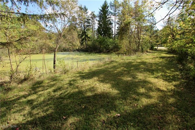 3949 Remsen Road, Medina, OH 44256