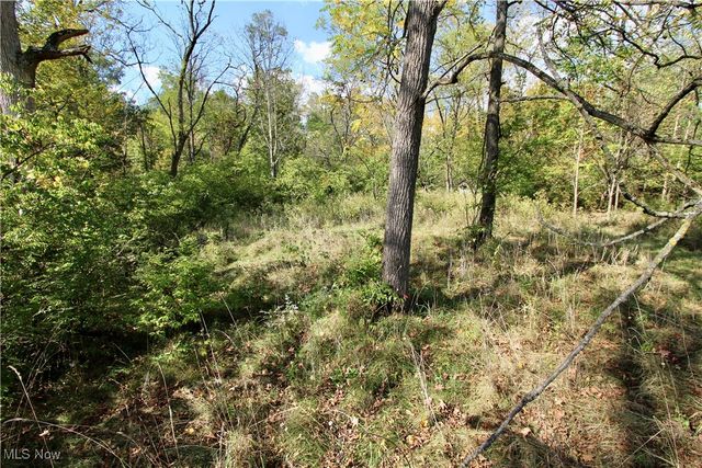 3949 Remsen Road, Medina, OH 44256