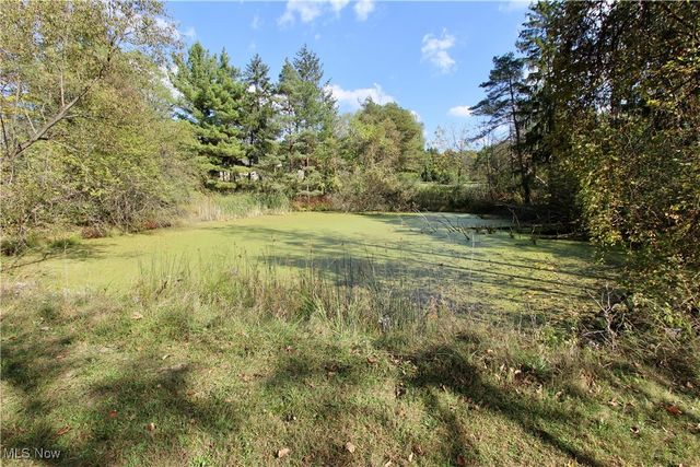 3949 Remsen Road, Medina, OH 44256