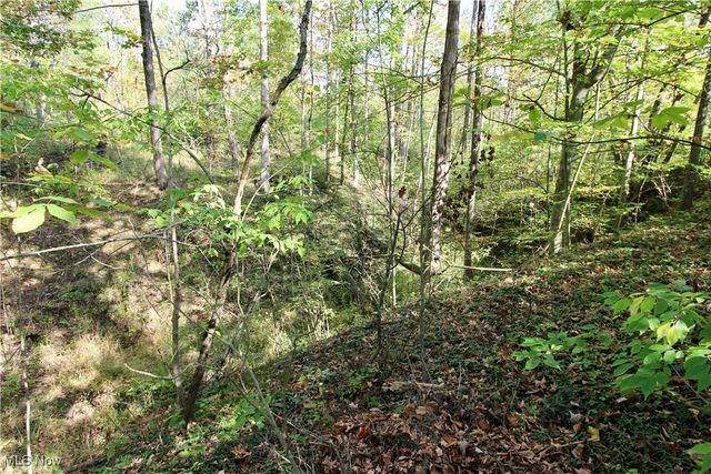 3949 Remsen Road, Medina, OH 44256