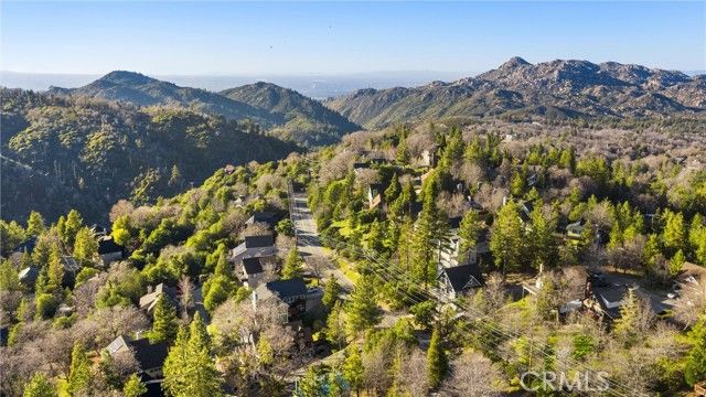 1113 N Grass Valley, Lake Arrowhead, CA 92352