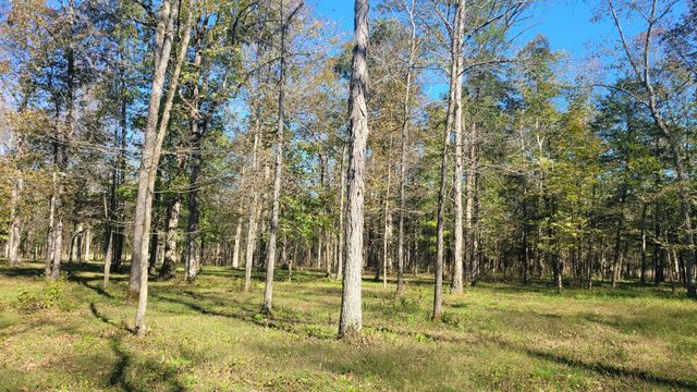 6 Pass Rd, Shelbyville, TN 37160