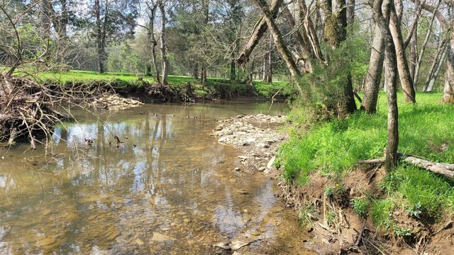 6 Pass Rd, Shelbyville, TN 37160