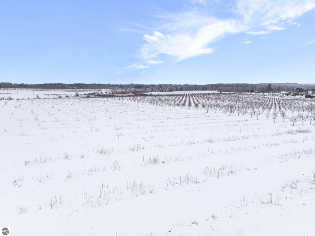 Image 5 of property listing at Parcel A Chippewa Trail, Rapid City, MI 49676