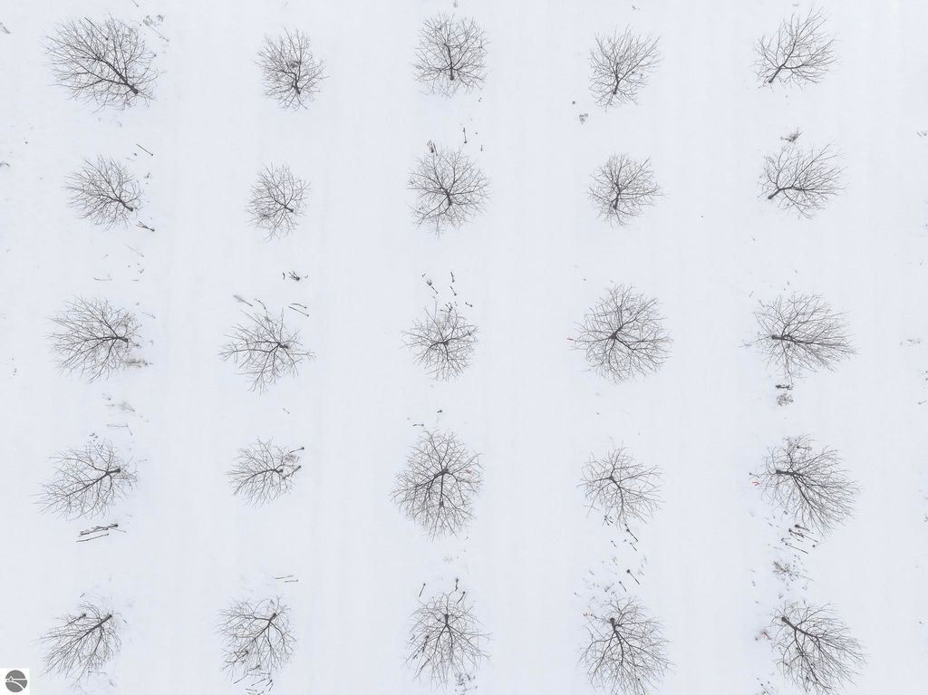 Image 7 of property listing at Parcel A Chippewa Trail, Rapid City, MI 49676